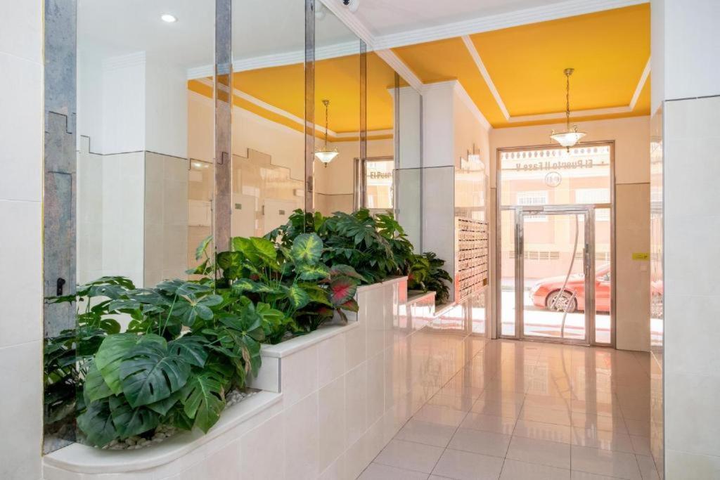 Bonito Apartamento En Torrevieja Eksteriør billede