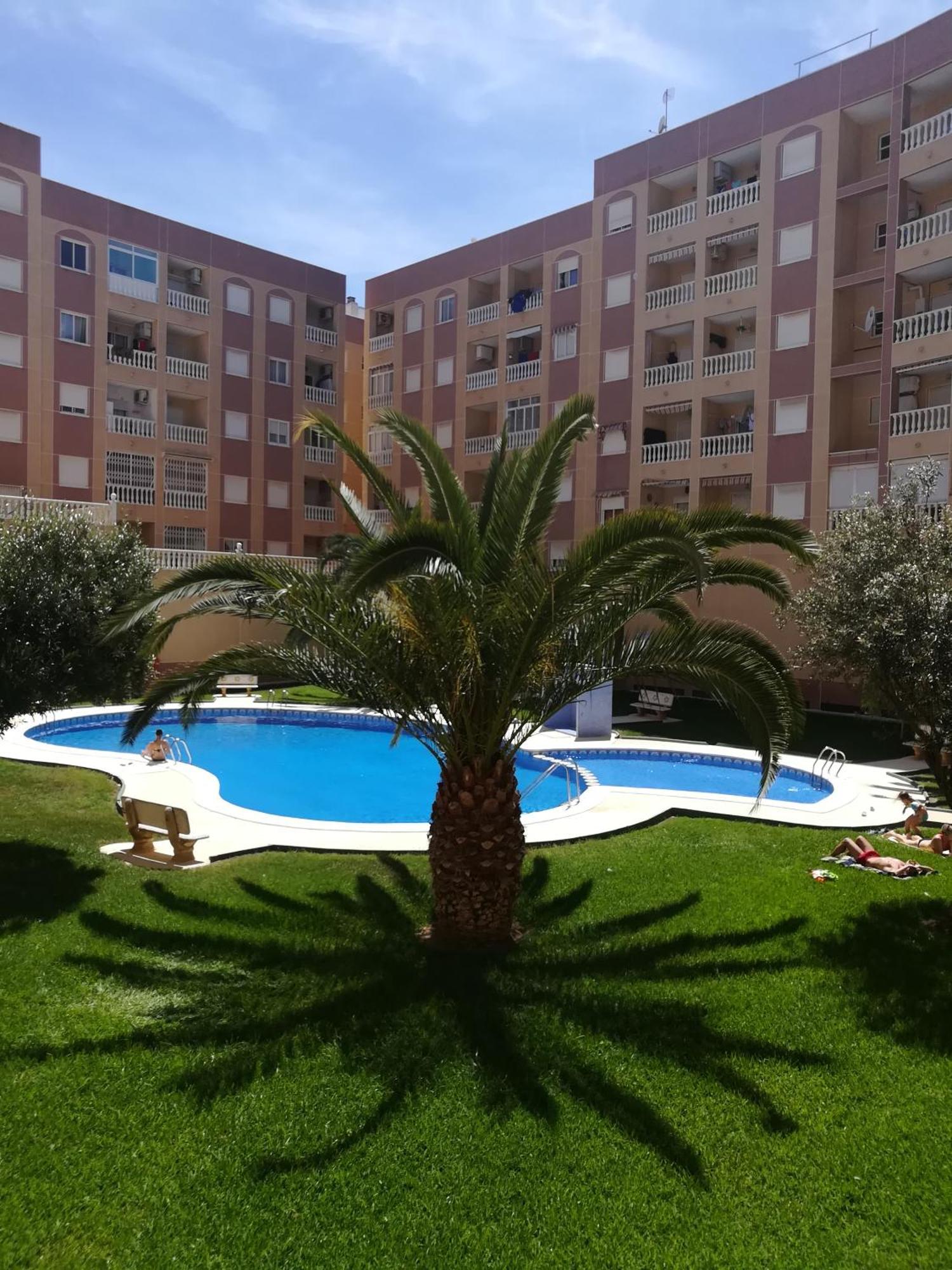 Bonito Apartamento En Torrevieja Eksteriør billede